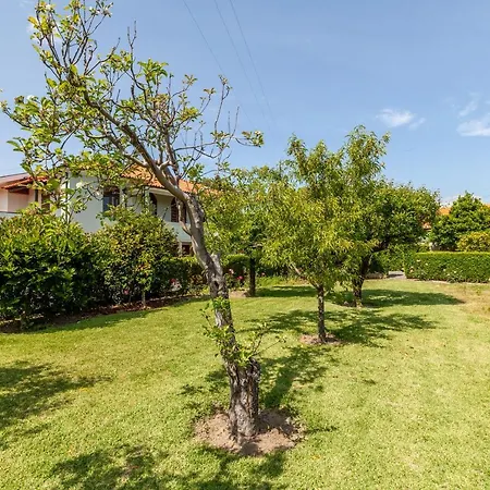 Casa Do Lamacal - Minho's Guest Σπίτι διακοπών