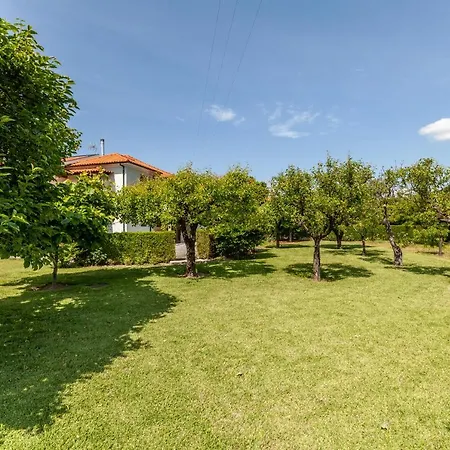 Σπίτι διακοπών Casa Do Lamacal - Minho's Guest *