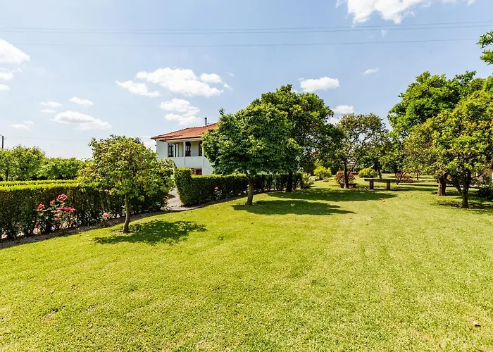 Casa Do Lamacal - Minho's Guest * Guardizela