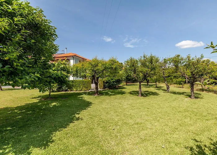 Dom wakacyjny Casa Do Lamacal - Minho's Guest *